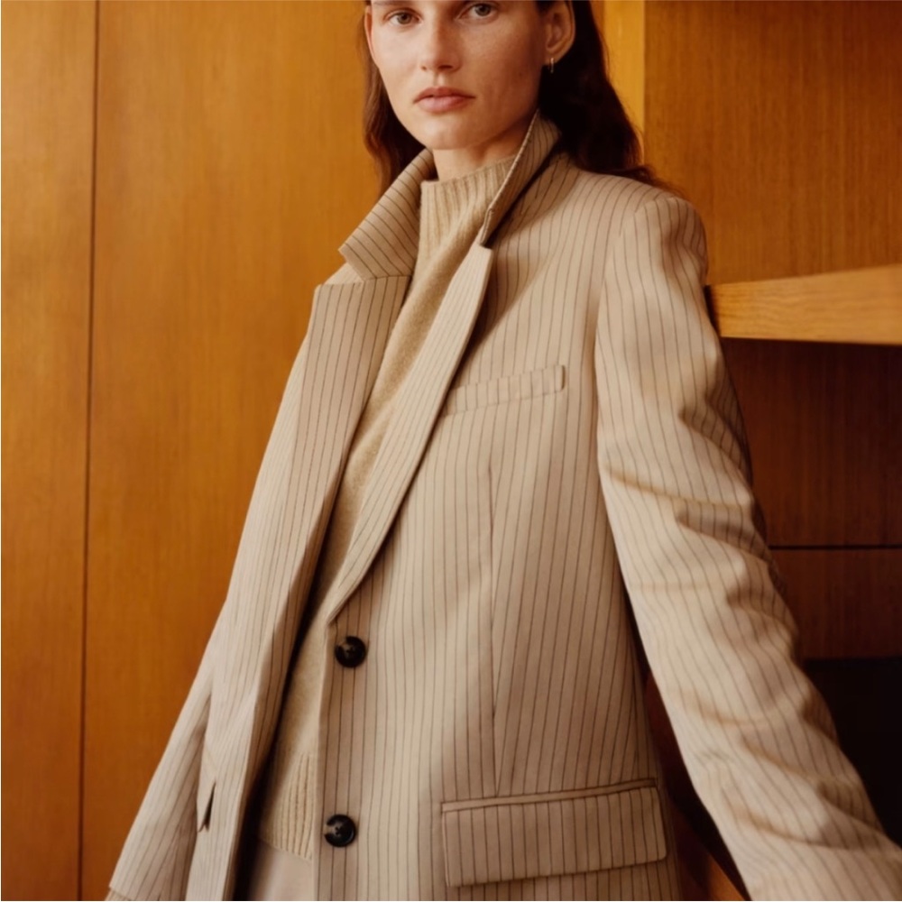 Everlane Beige Pinstripe Oversized Blazer